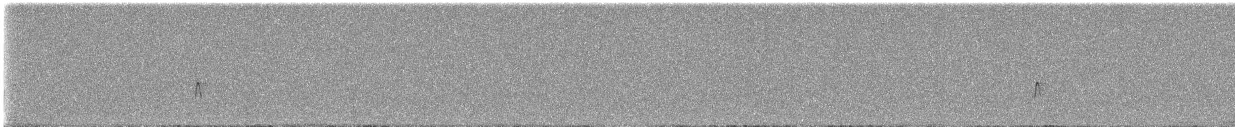 Hammond's Flycatcher - ML643778165