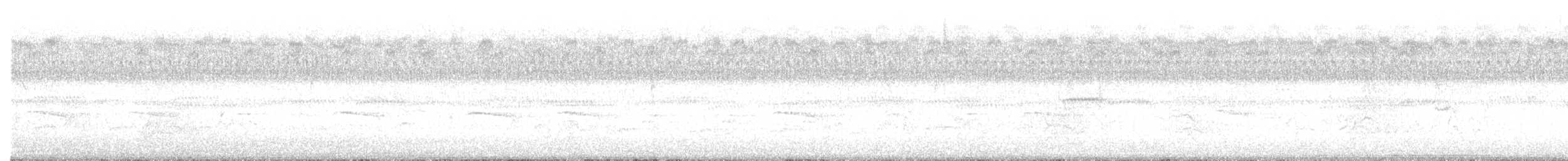 vireo sp. - ML643780005