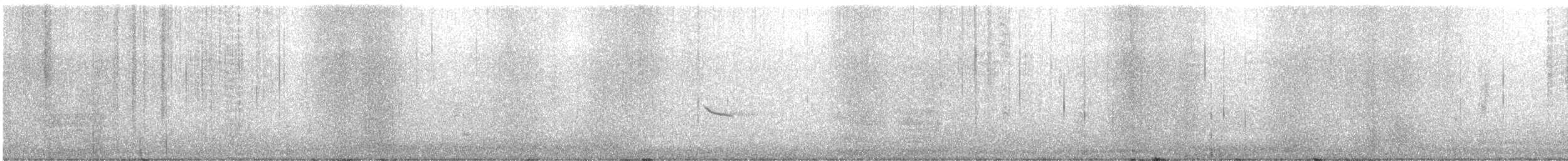 Hermit Thrush - ML643780718