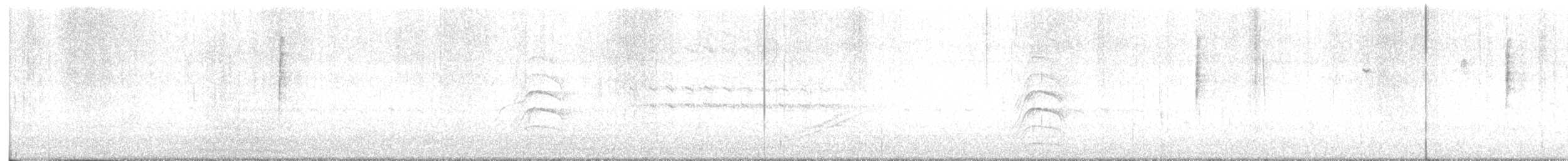 MacGillivray's Warbler - ML643780998