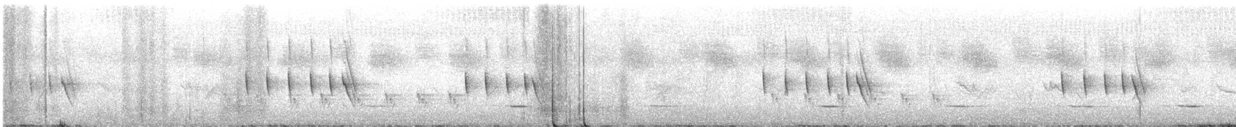 Kolyeli Apalis - ML643783692