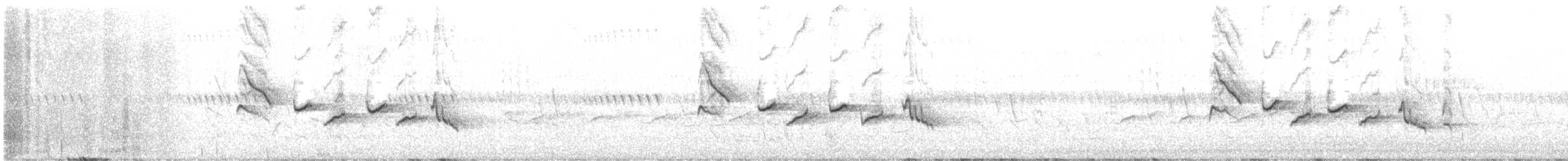 hvitbrynkrattskvett (leucophrys gr.) - ML643784381