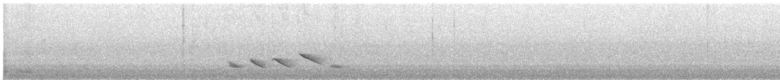 オリーブイカル - ML643784775