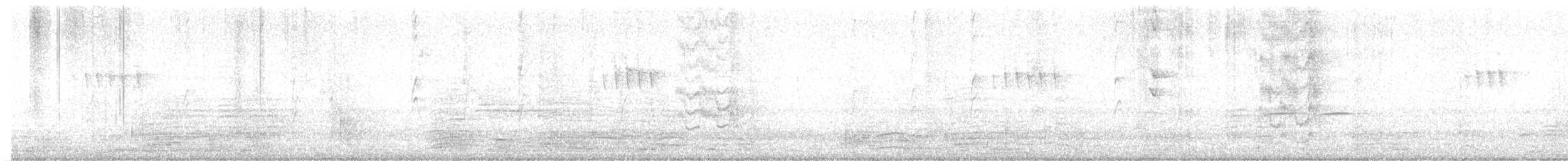 båtnebbtyrann - ML643784869