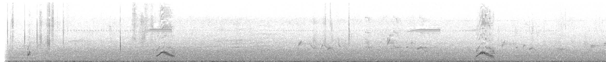 Spotless Crake - ML643785386