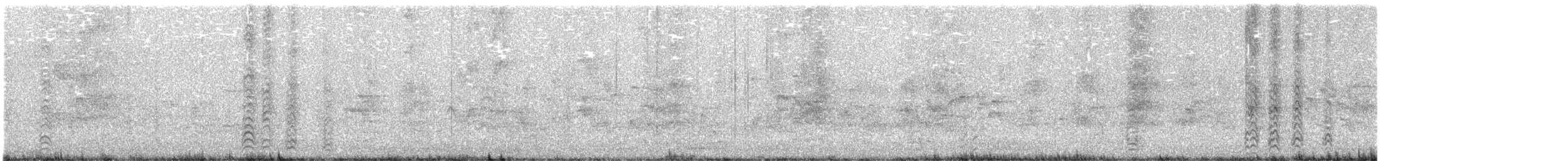 Gray-crowned Babbler - ML643788763