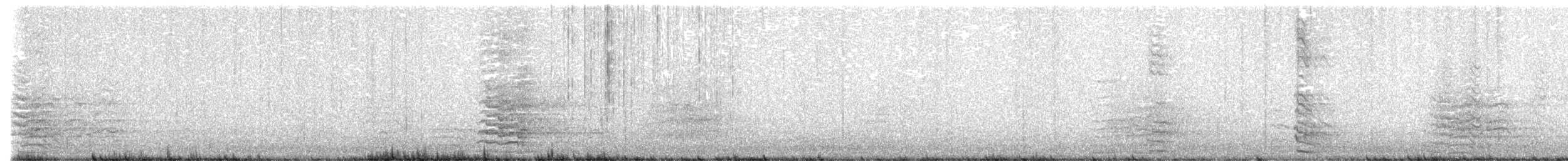 Cacatoès corella - ML643788777