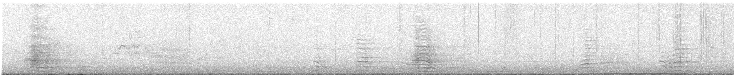 Cacatoès corella - ML643788779