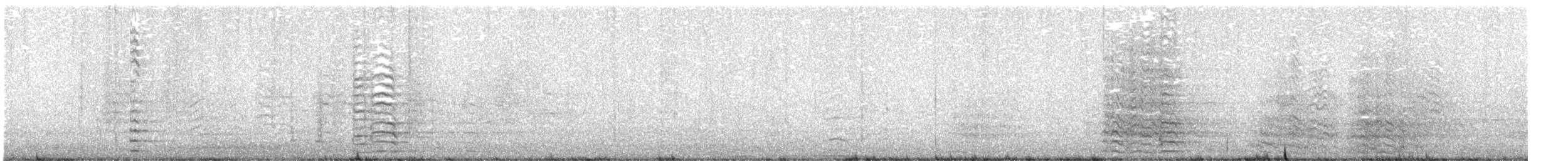 Cacatoès corella - ML643788780