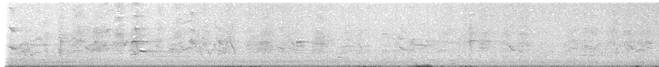 Australasian Figbird - ML643788813