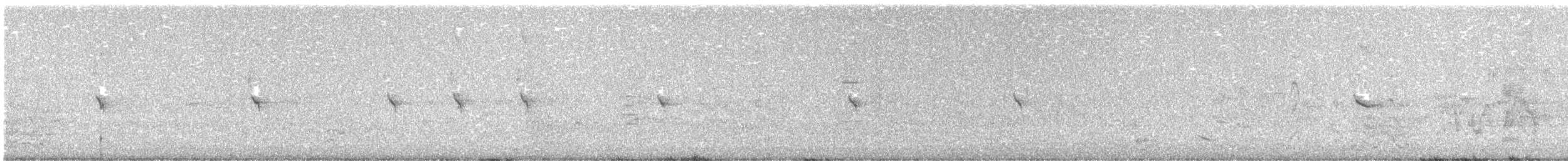 Australasian Figbird - ML643788815