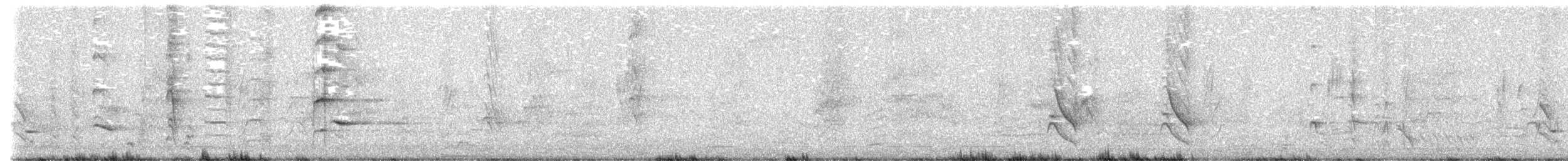 Australasian Figbird - ML643788817