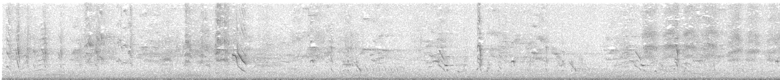 Australasian Figbird - ML643789828