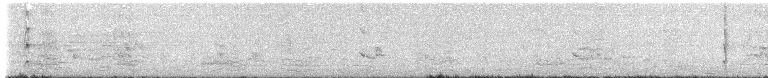 Australasian Figbird - ML643789830