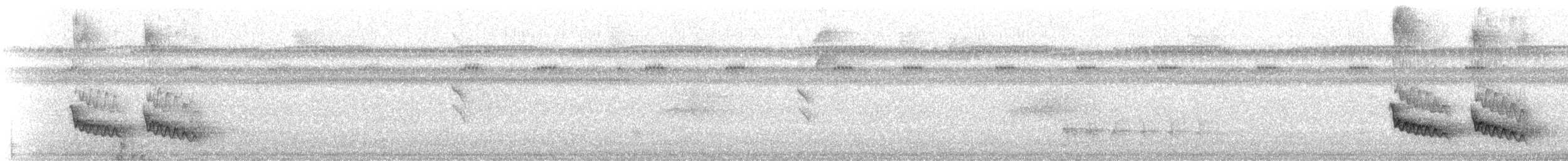 Cocoa Woodcreeper - ML643790237