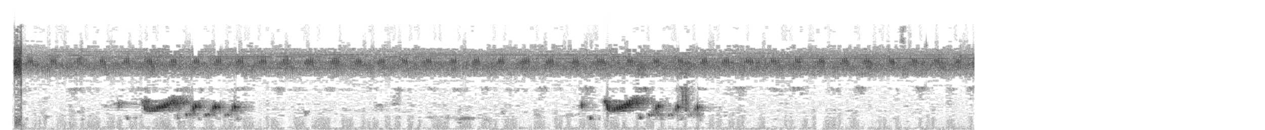 コヨタカ - ML643792245