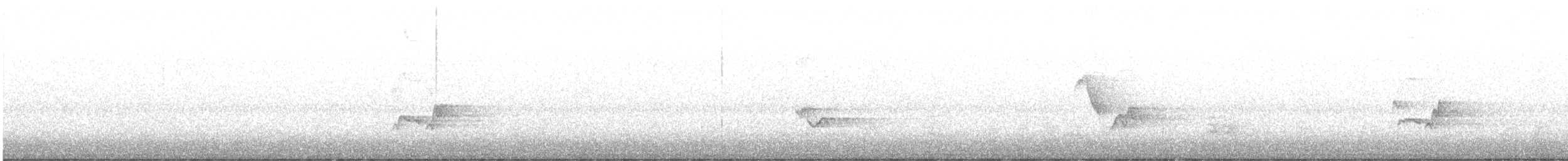 Vireo occhirossi - ML643792638
