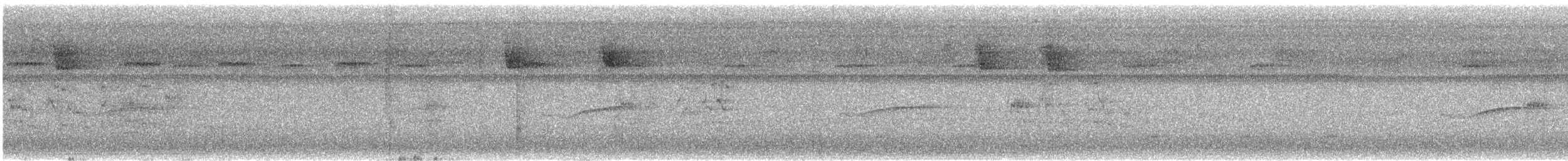 regnbuetukan - ML643792941