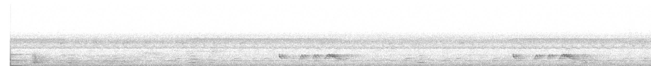 アカヨタカ - ML643794470