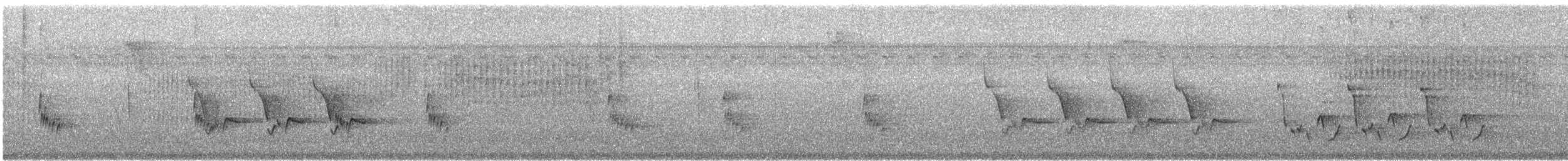 Carolina Wren - ML643794609