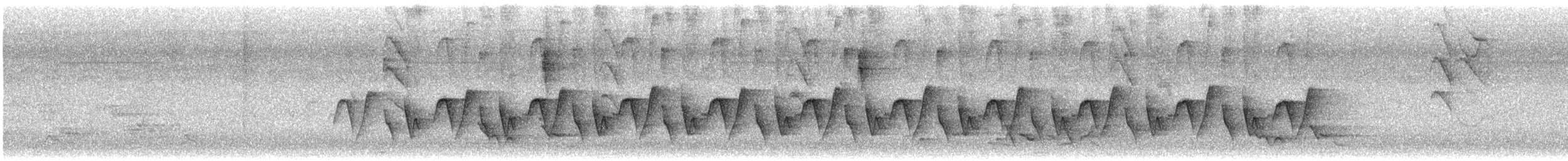 Белоухий крапивник - ML643796137