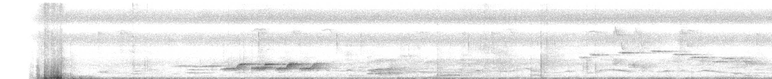 Shama de Ceylan - ML643799621