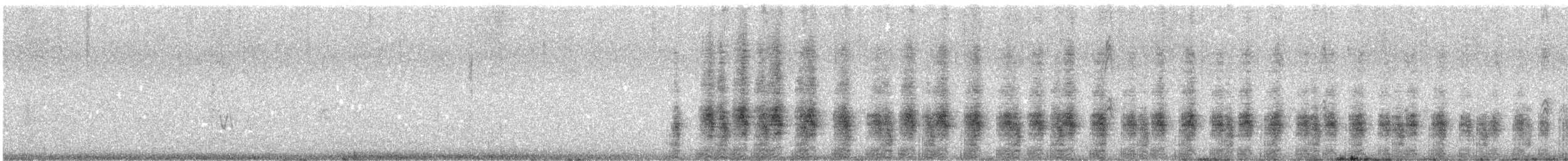 コオニクイナ - ML643800657