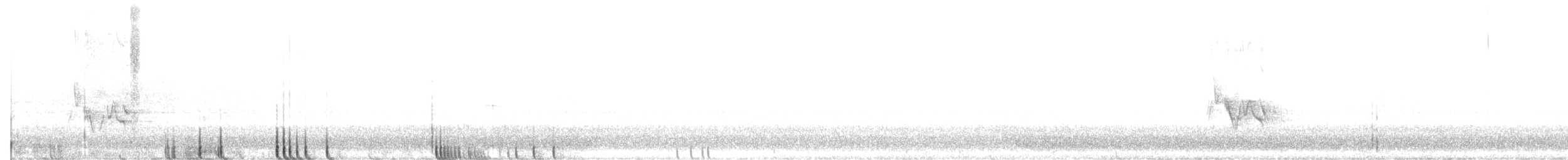 Townsend's Solitaire - ML643801563