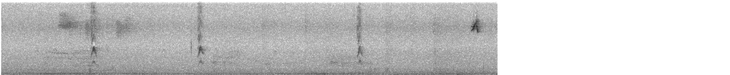 ウタスズメ（heermanni グループ） - ML643801701