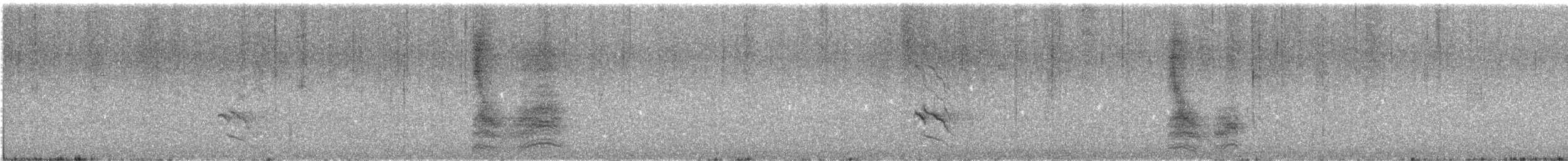 Тауї плямистий [група oregonus] - ML643802330