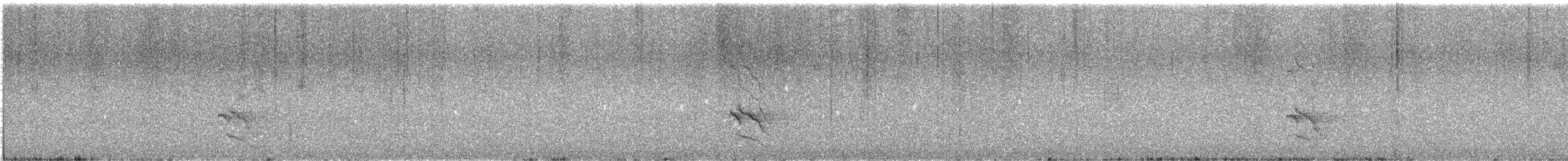 Northern Flicker (Red-shafted) - ML643802392