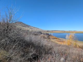 Vega SP, Mesa, Colorado, United States - eBird Hotspot