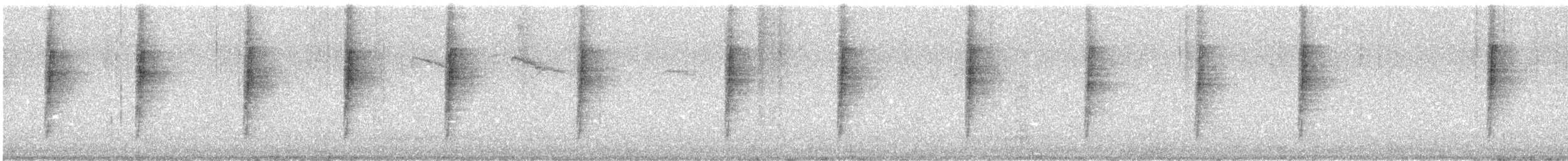 Bewick's Wren (spilurus Group) - ML643802587