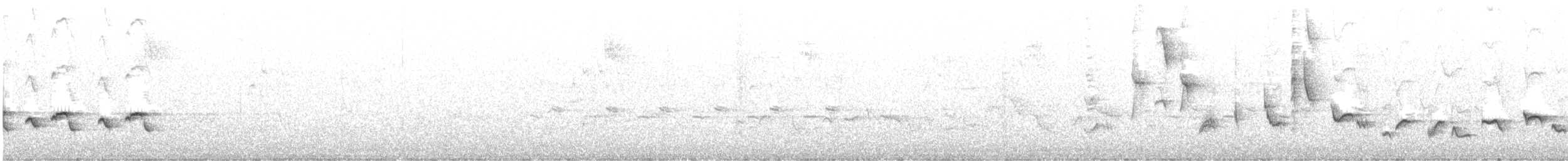 Txinbo kaskabeltza - ML643804171
