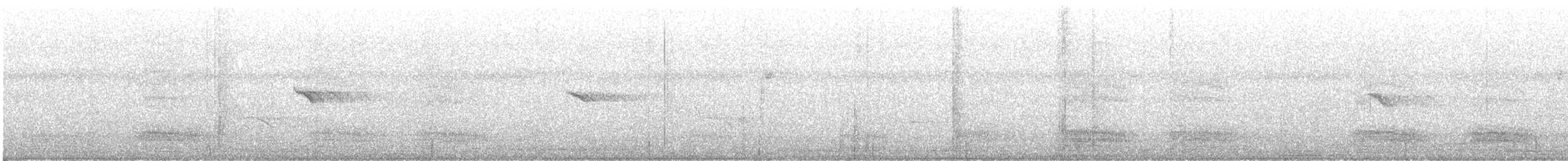 House Crow - ML643804427