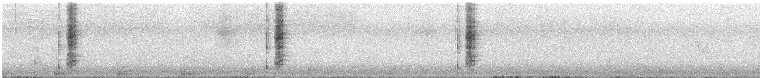 Red Wattlebird - ML643804734