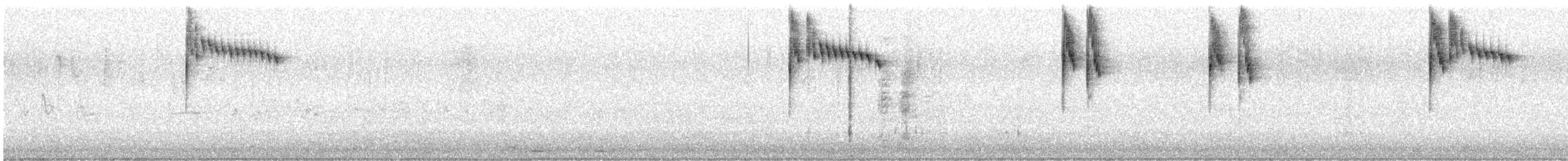 Superb Fairywren - ML643804757