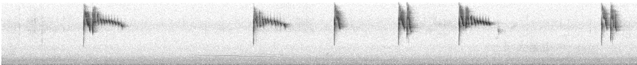 Superb Fairywren - ML643804770