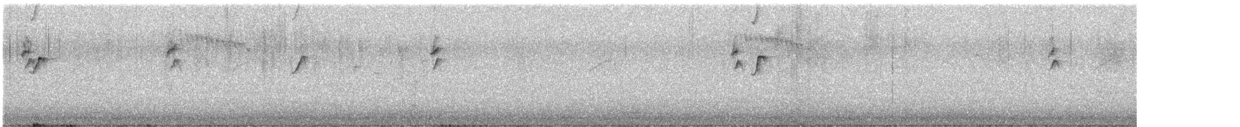 New Holland Honeyeater - ML643804853