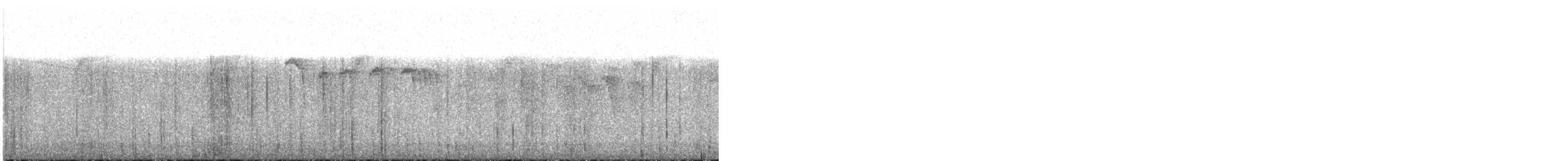 Black-capped Tyrannulet - ML643804862