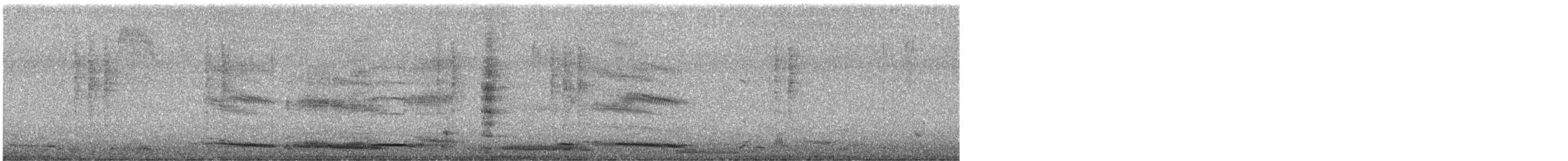 Australian Magpie - ML643804986