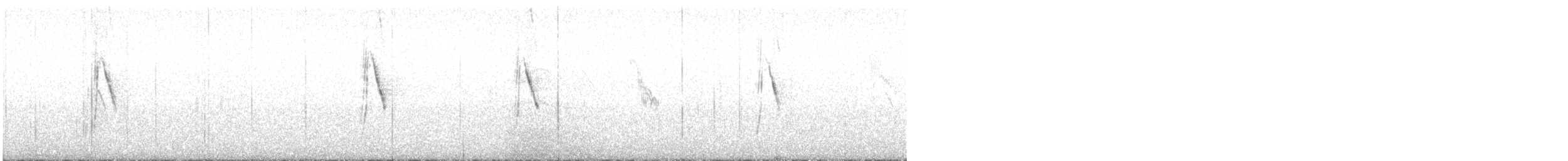 Schafstelze - ML643805452