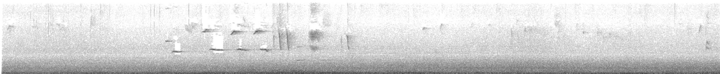 Song Sparrow - ML643805723
