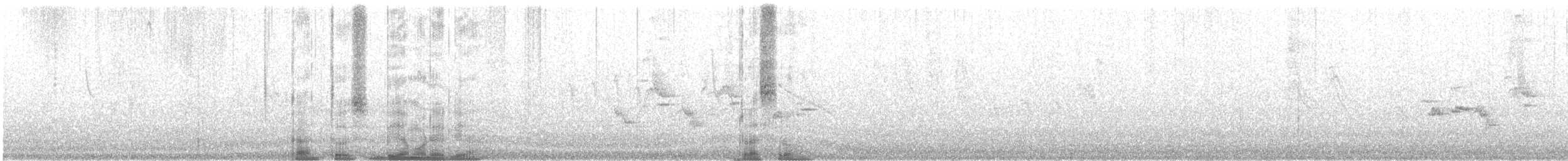 Orange-billed Nightingale-Thrush - ML643805777