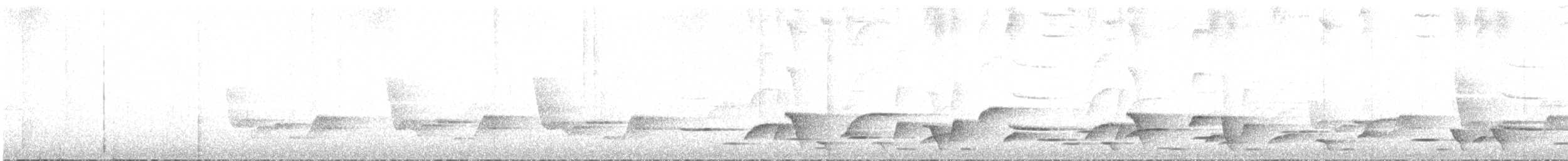 Whiskered Wren - ML643806388