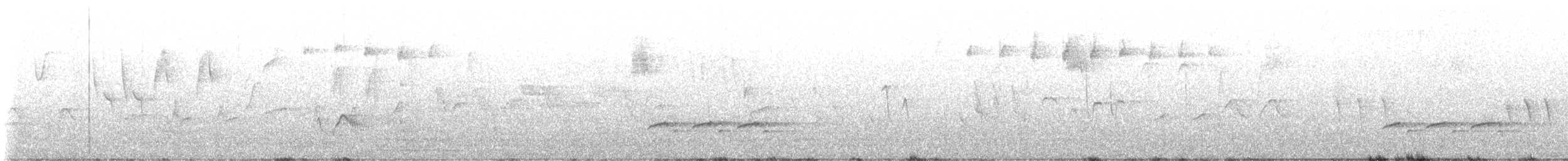 Blackpoll Warbler - ML643807753