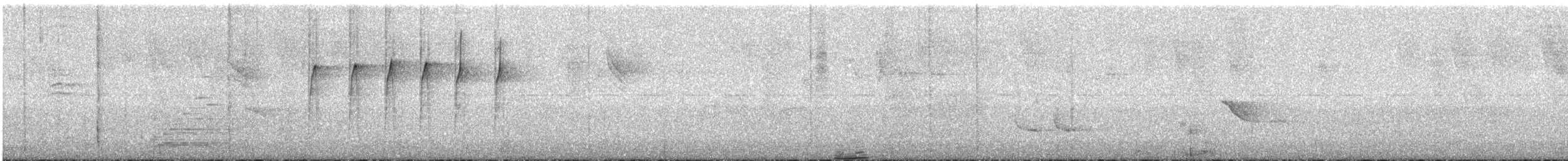 Streaked Xenops - ML643808275