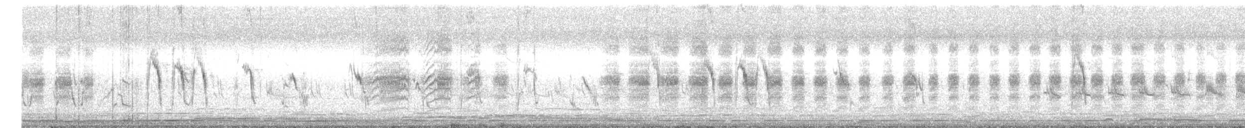 Gray-backed Shrike - ML643810050