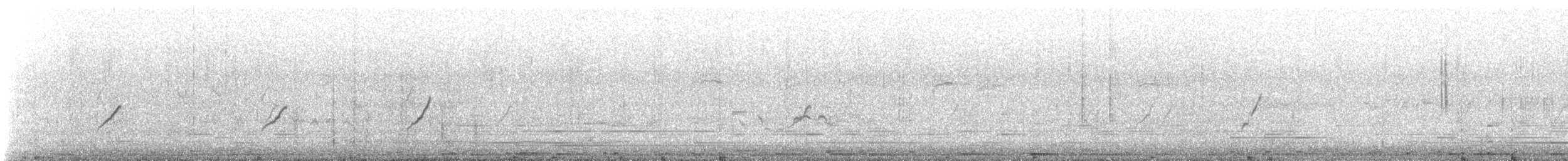 Вівчарик-ковалик - ML643810105