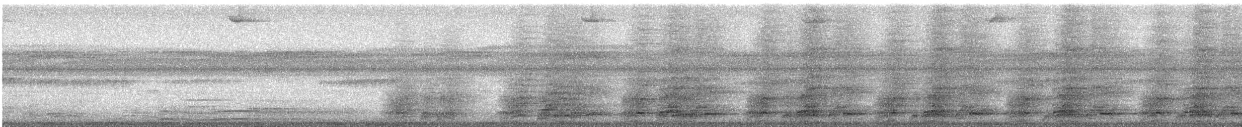 Plain Chachalaca - ML643811320